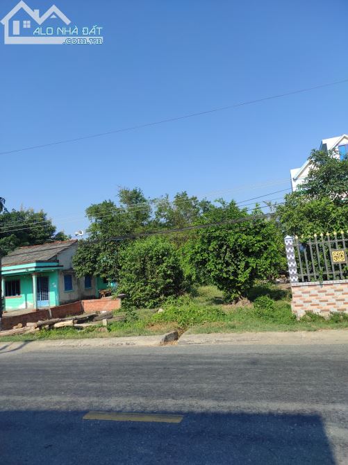 3960790 ảnh đại diện 1