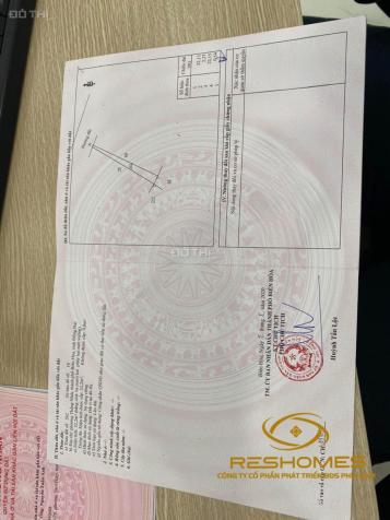 3961020 ảnh đại diện 1