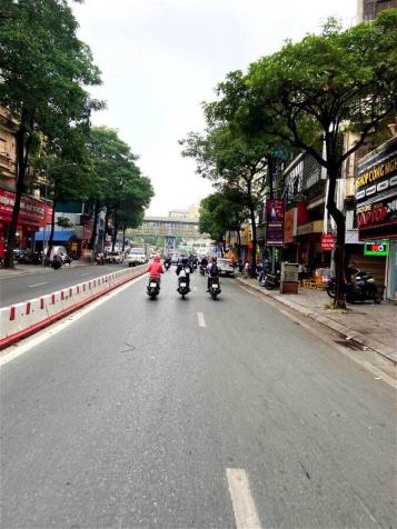 3960855 ảnh đại diện 2