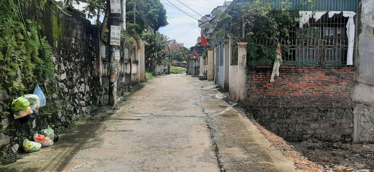 3957787 ảnh đại diện 1