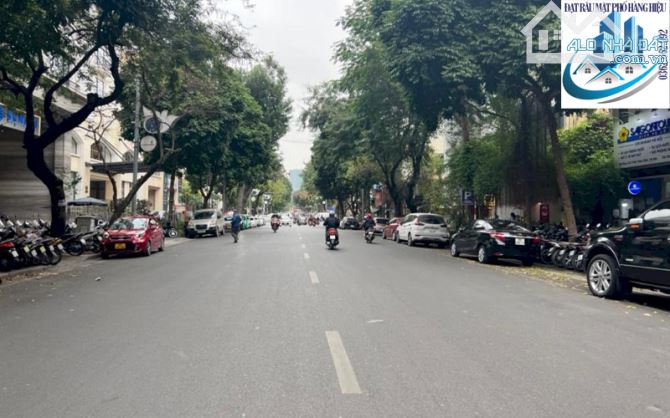 3959499 ảnh đại diện 1