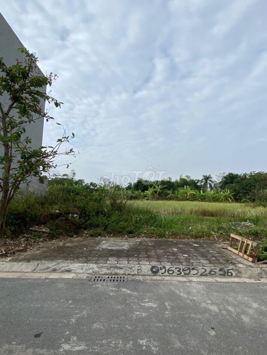 3956511 ảnh đại diện 1