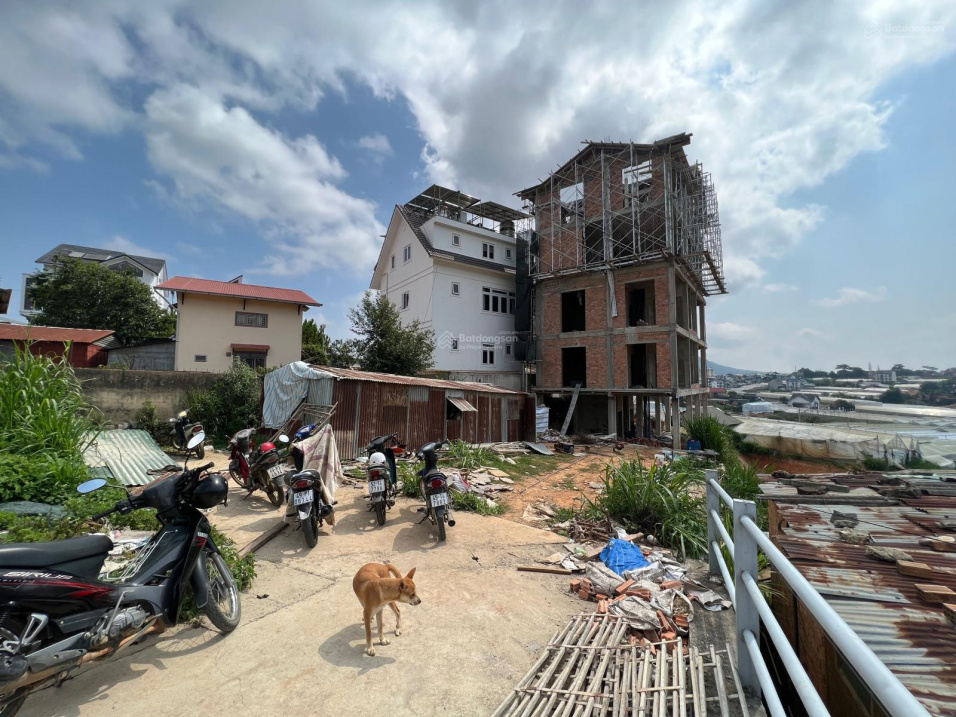 3959815 ảnh đại diện 1