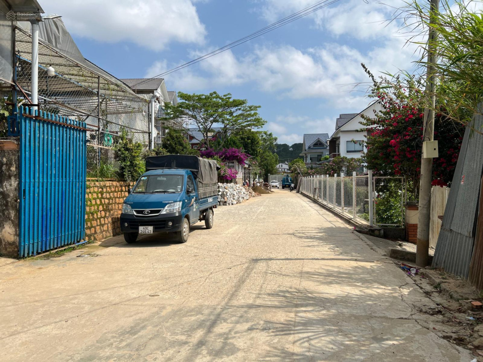 3959815 ảnh đại diện 2