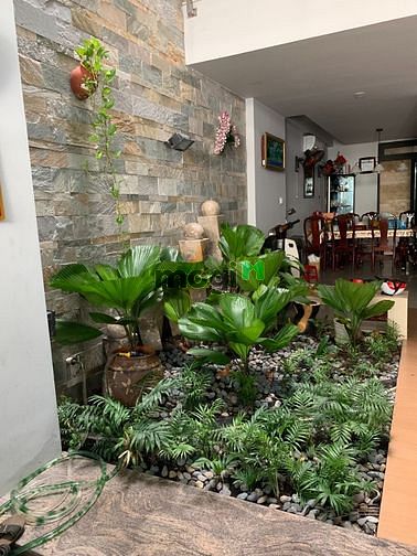 3959005 ảnh đại diện 1