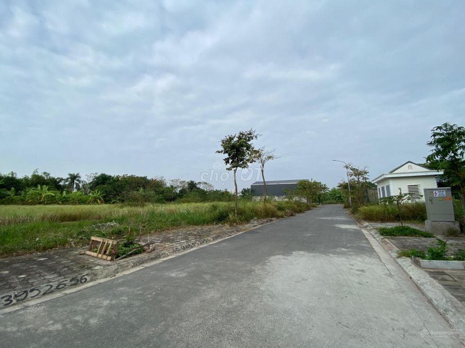 3956511 ảnh đại diện 1