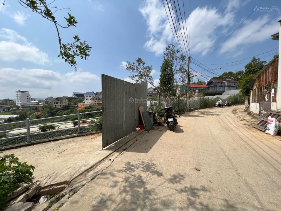 3959815 ảnh đại diện 1