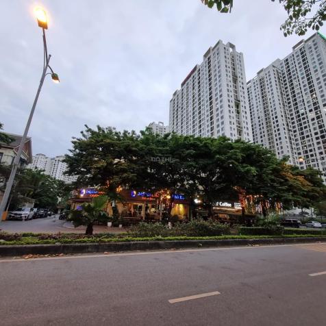 3956633 ảnh đại diện 1