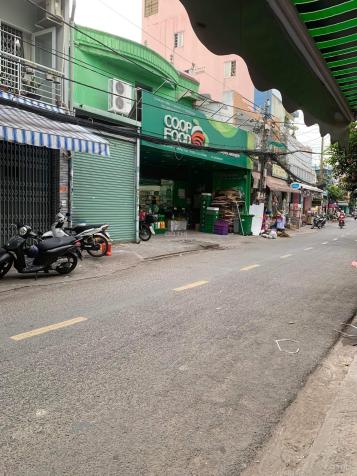 3960684 ảnh đại diện 1
