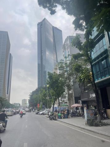 3958527 ảnh đại diện 1