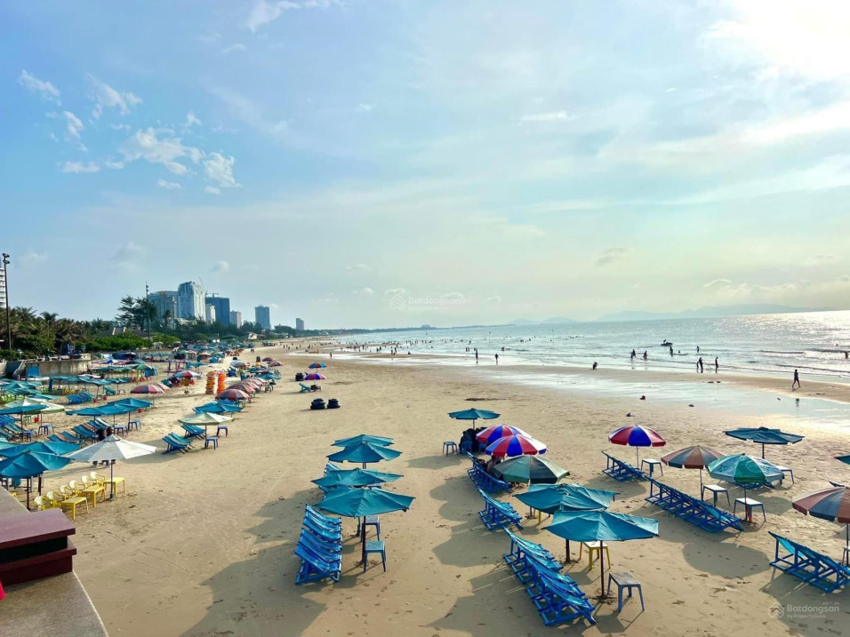 3962580 ảnh đại diện 1