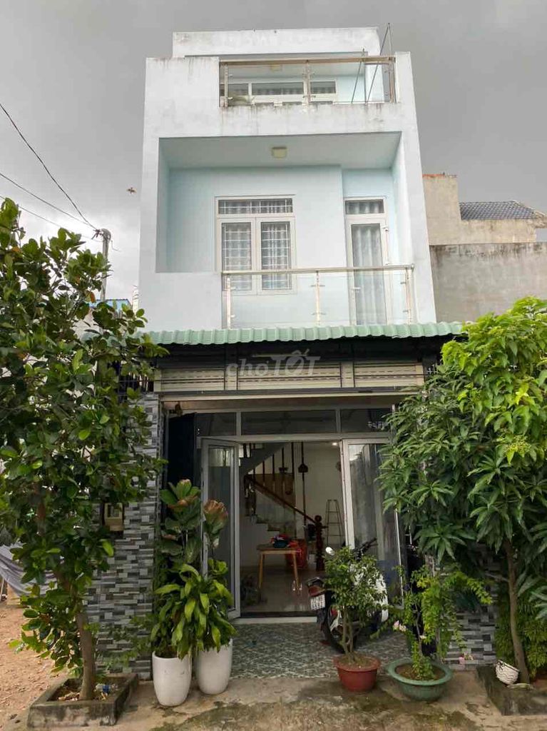 3965308 ảnh đại diện 1