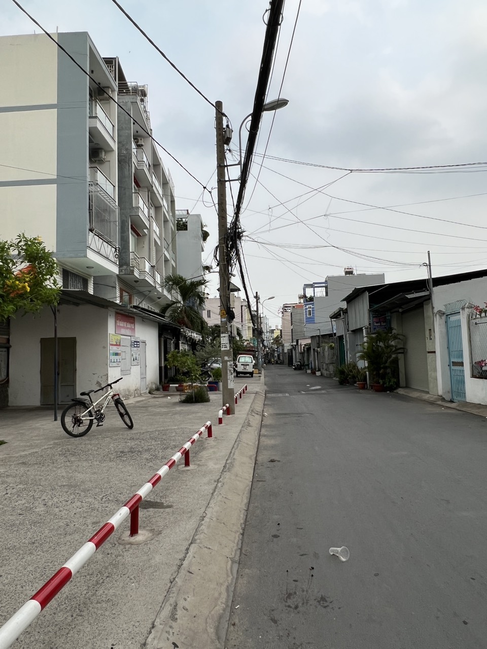 3964507 ảnh đại diện 1
