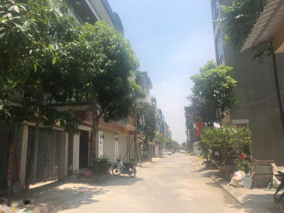 3965911 ảnh đại diện 1
