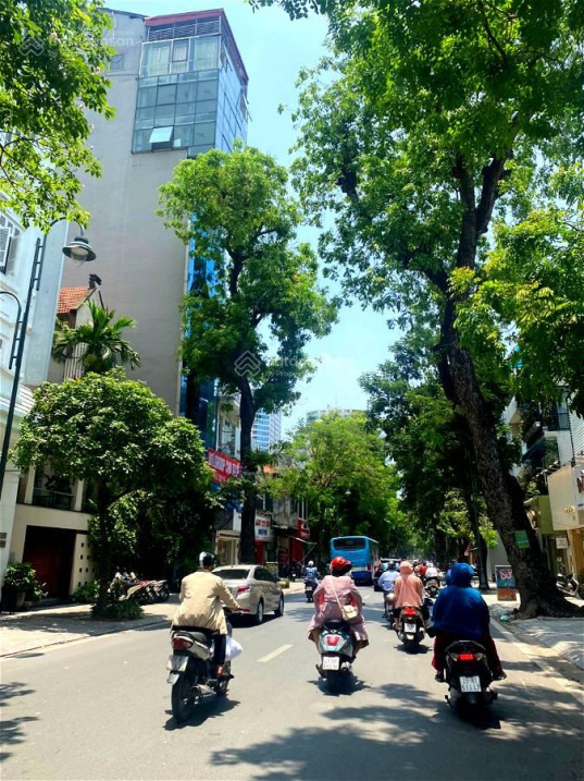 3962919 ảnh đại diện 1