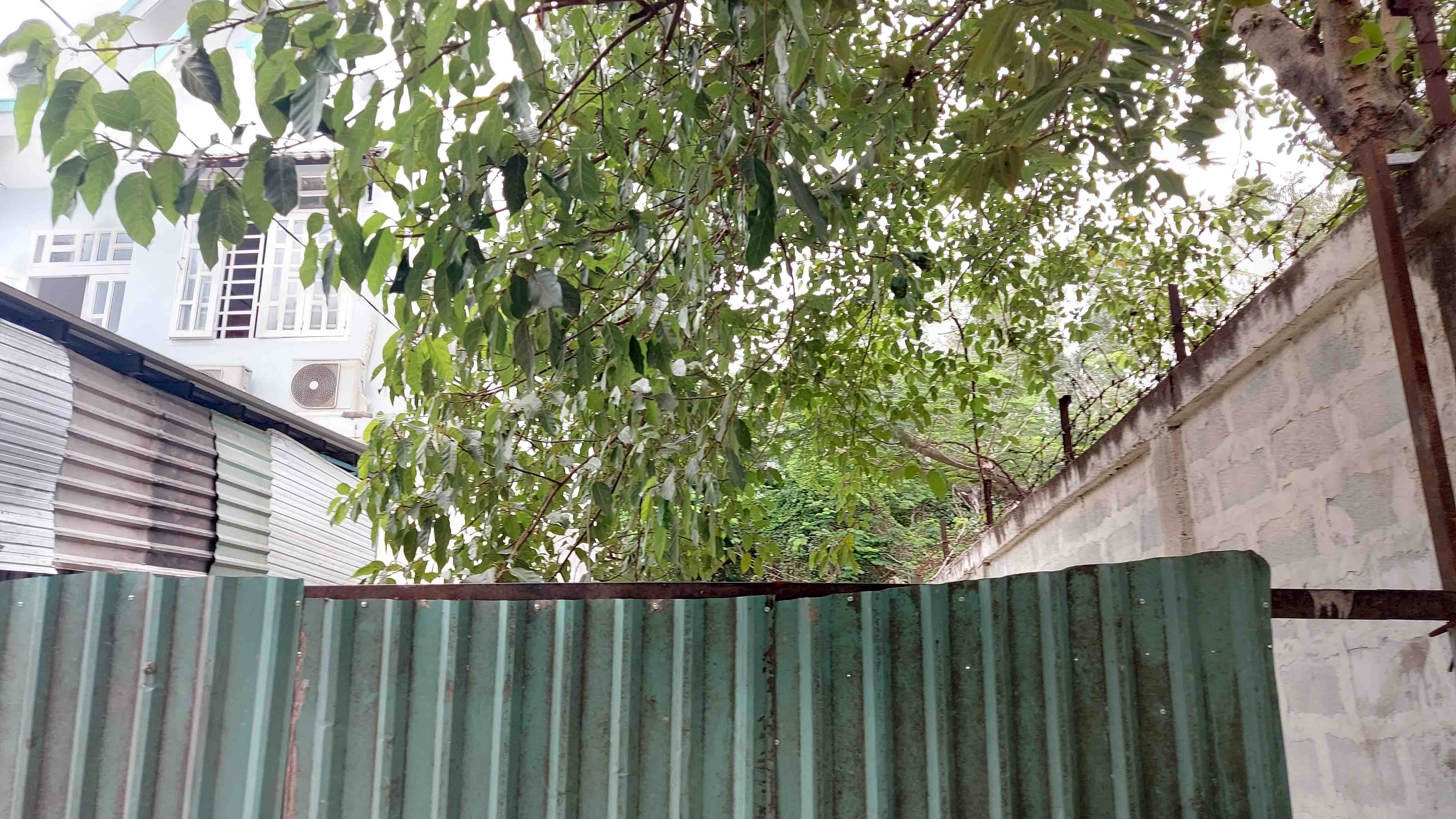 3962452 ảnh đại diện 1