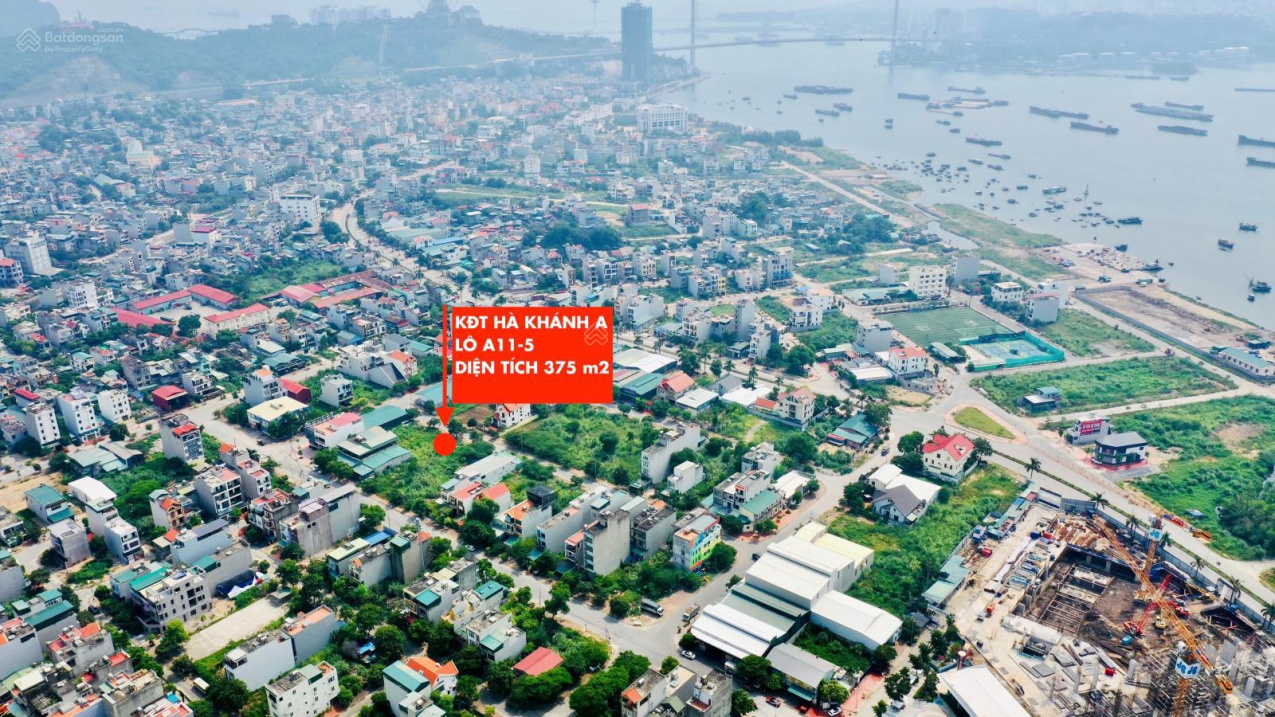 3961507 ảnh đại diện 1