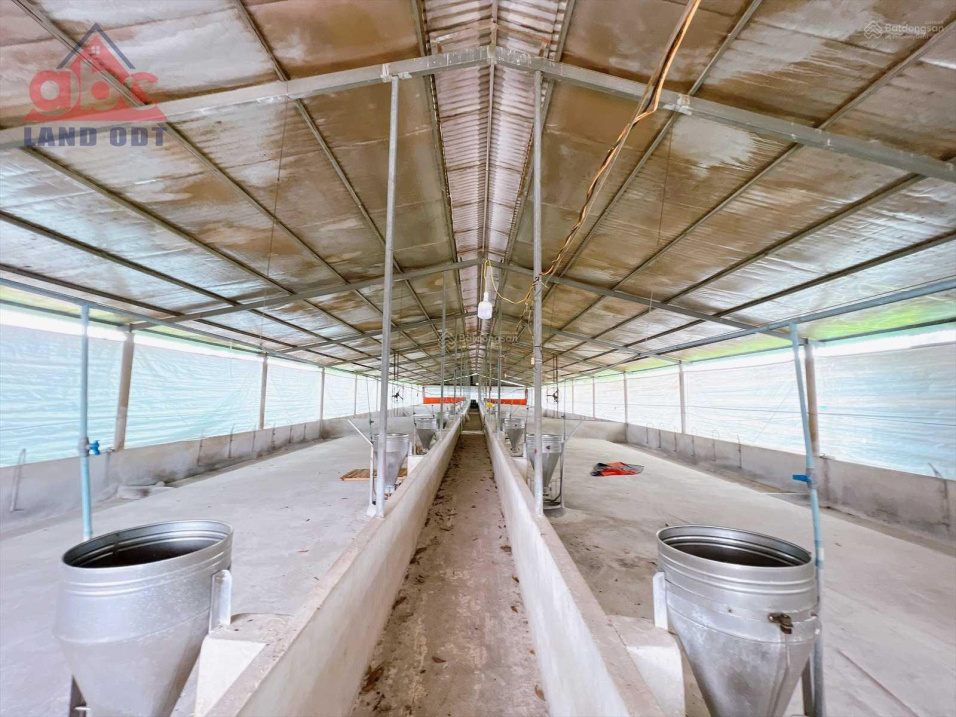 3962691 ảnh đại diện 2