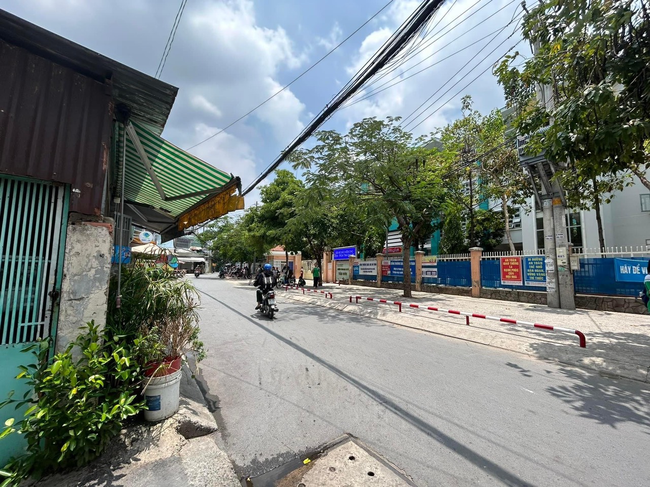3964507 ảnh đại diện 2