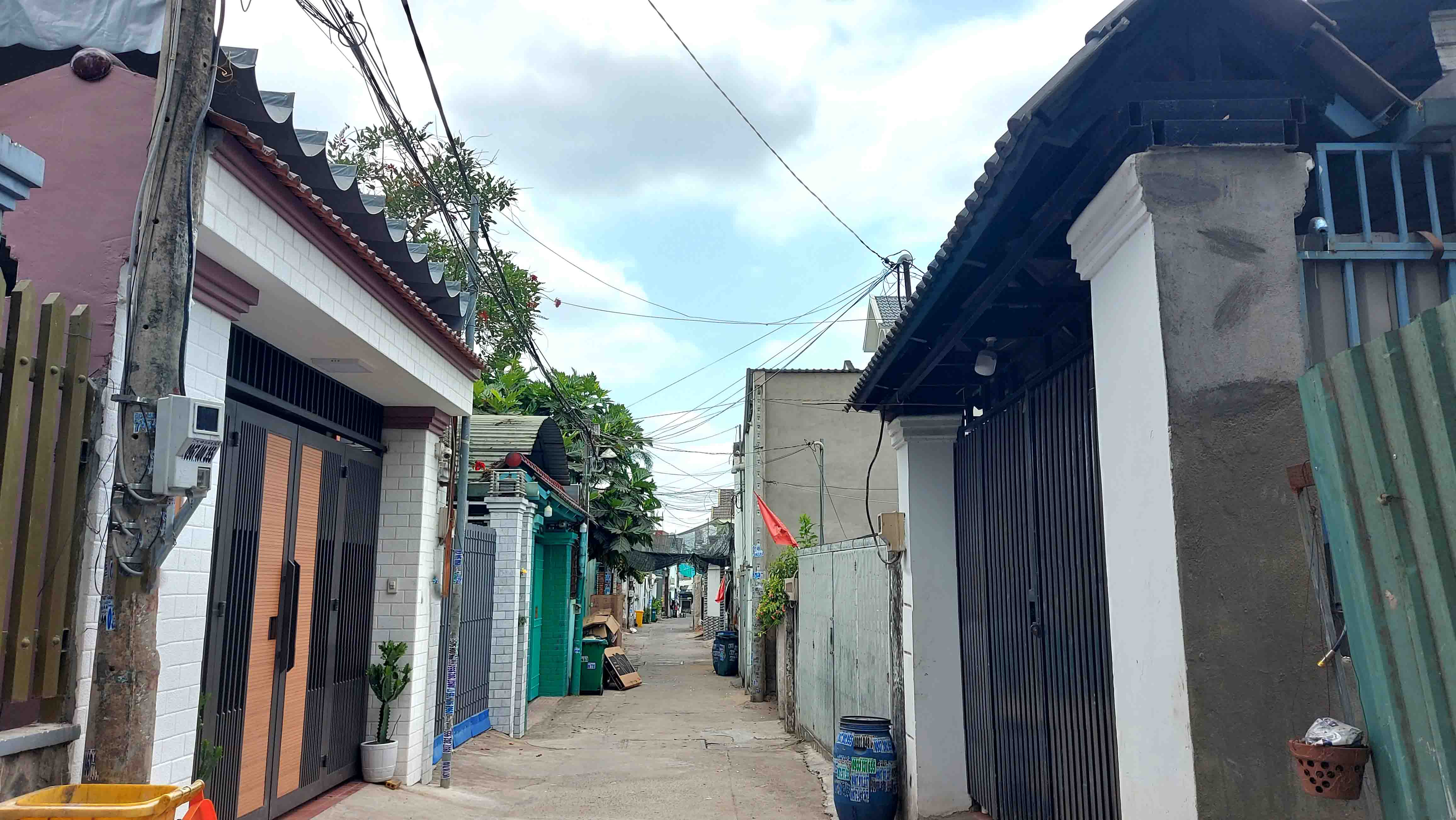 3962345 ảnh đại diện 1