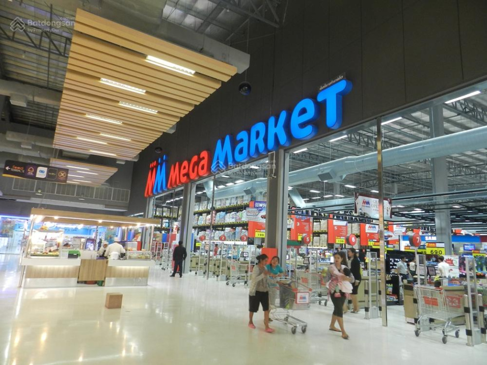 3962795 ảnh đại diện 2