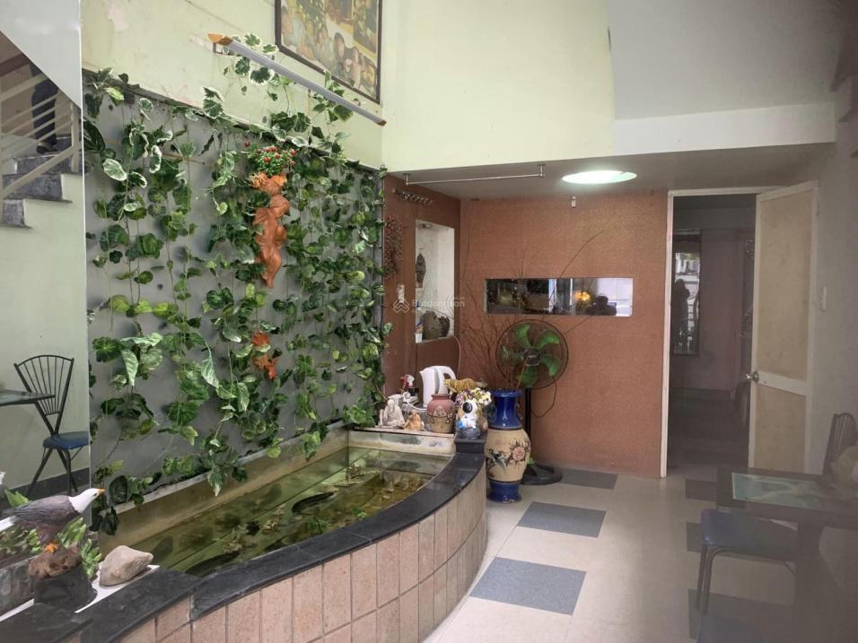 3965684 ảnh đại diện 1