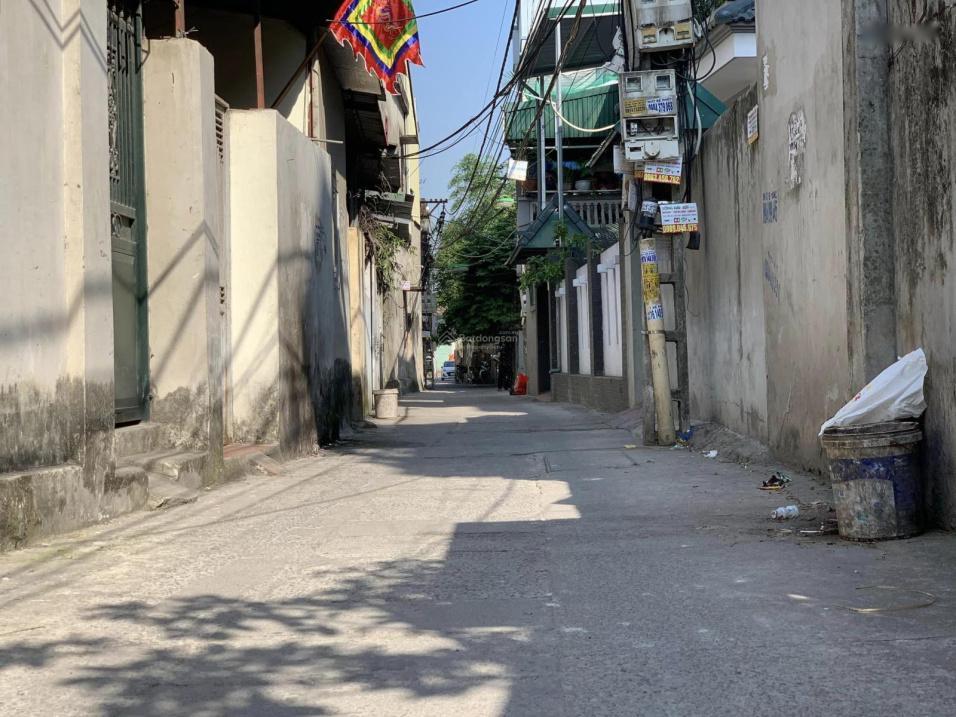 3967933 ảnh đại diện 1
