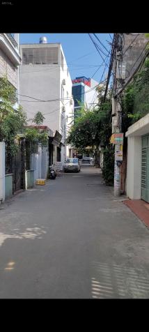 3969695 ảnh đại diện 1
