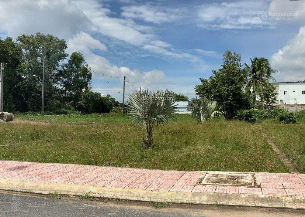 3968739 ảnh đại diện 2