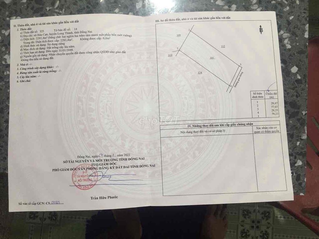 3970216 ảnh đại diện 2