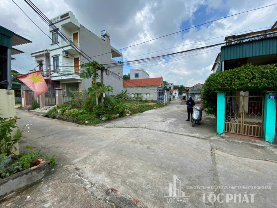 3969494 ảnh đại diện 1