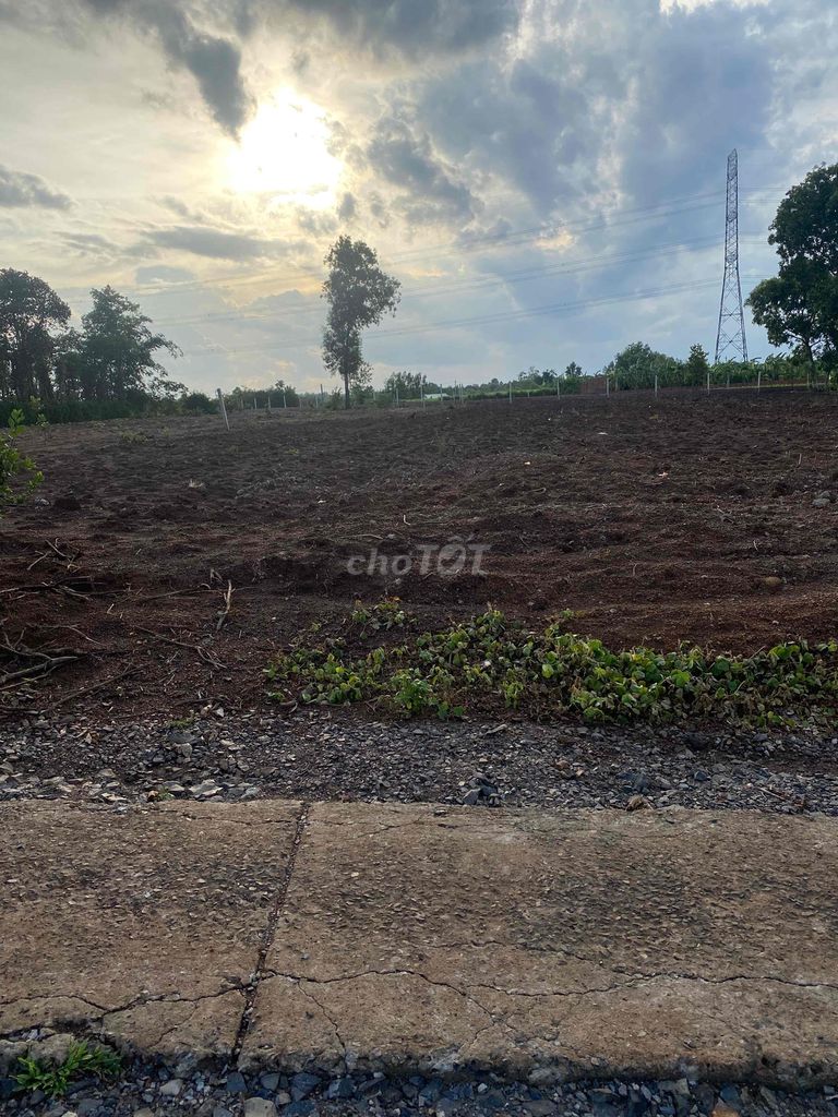 3970216 ảnh đại diện 1