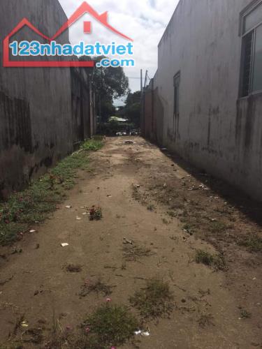 3970396 ảnh đại diện 1