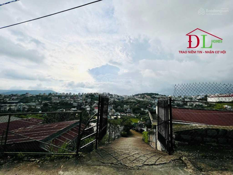 3971751 ảnh đại diện 1