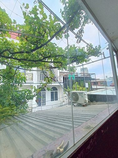 3970890 ảnh đại diện 2