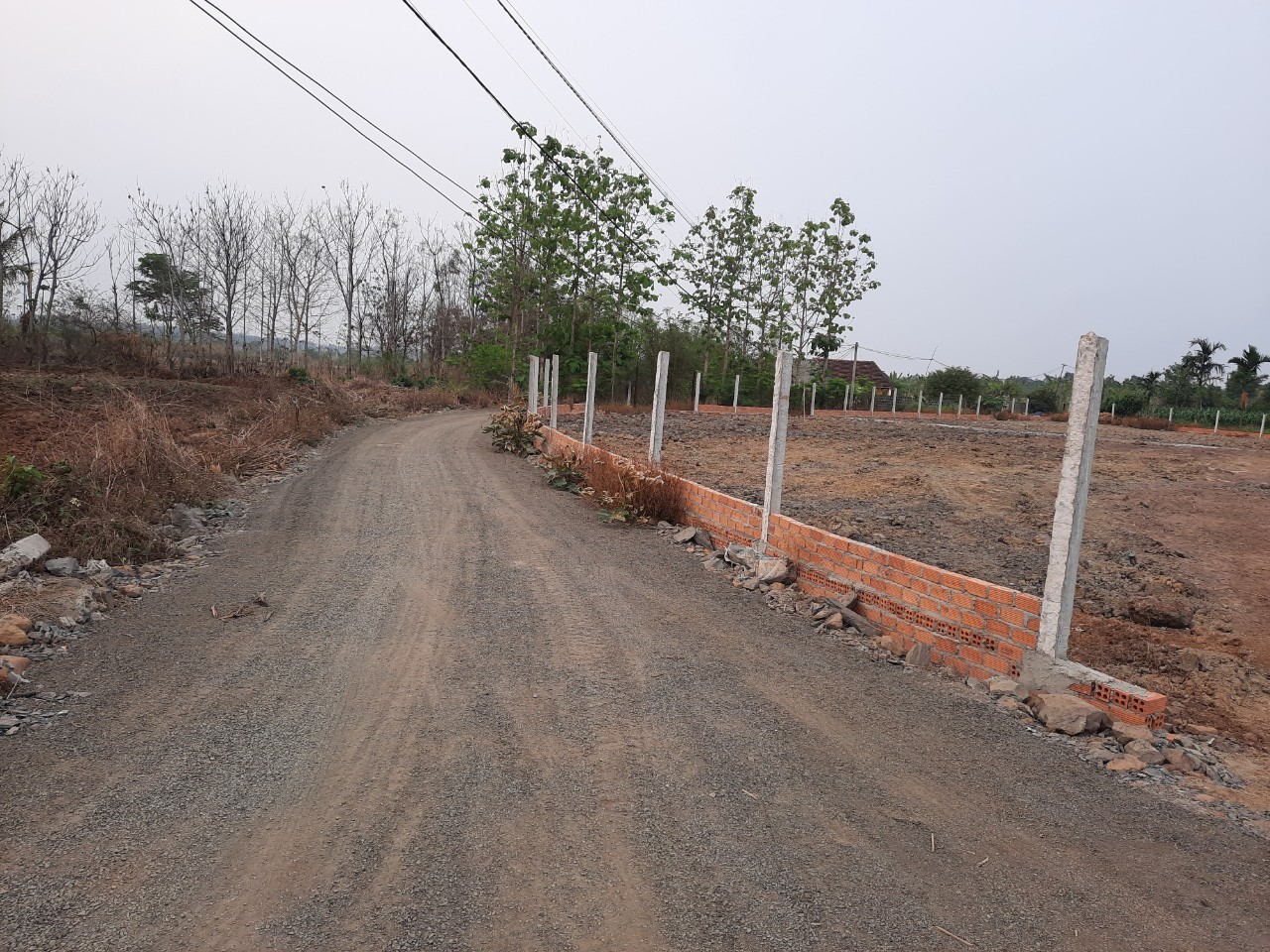 3972792 ảnh đại diện 1