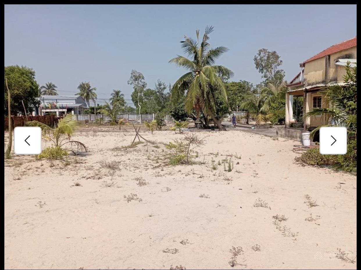 3971468 ảnh đại diện 1