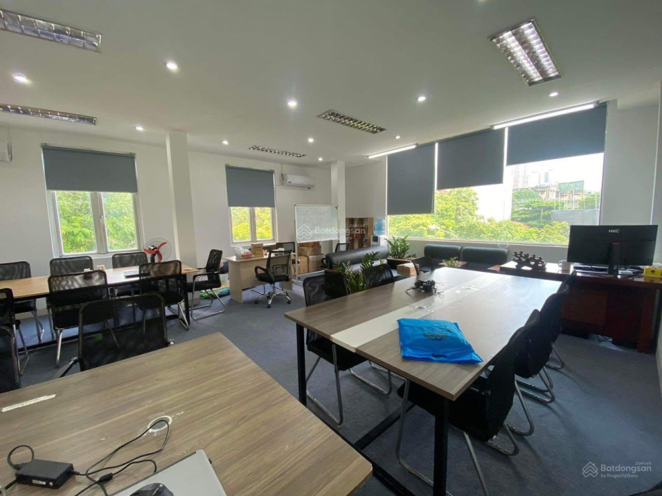 3971464 ảnh đại diện 2