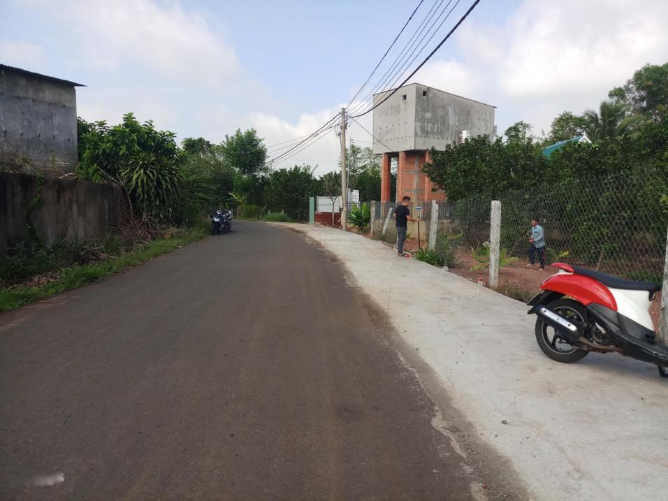 3971154 ảnh đại diện 1