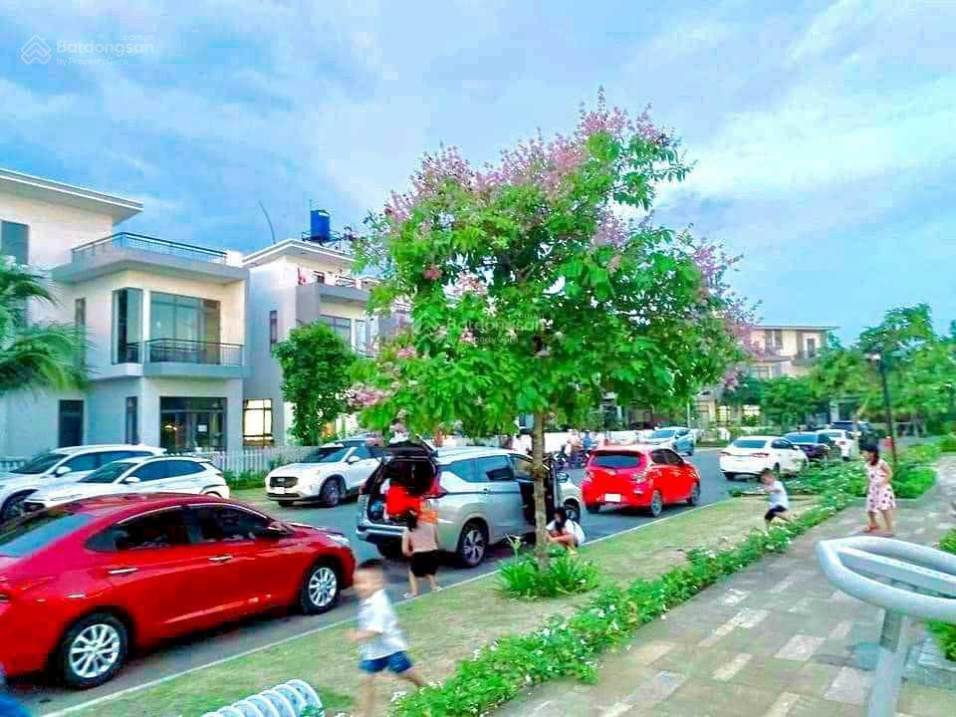 3972346 ảnh đại diện 1