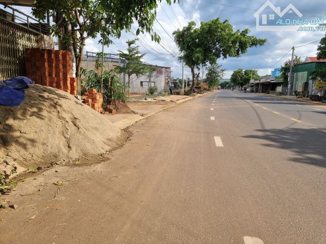 3972407 ảnh đại diện 1