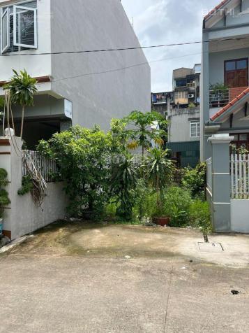 3971182 ảnh đại diện 1