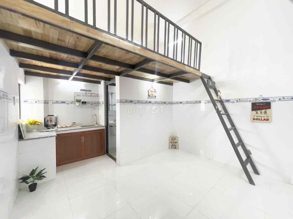 3971905 ảnh đại diện 1