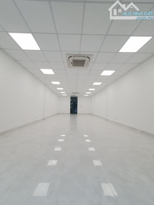 3973424 ảnh đại diện 1