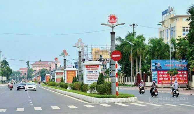 3972346 ảnh đại diện 1