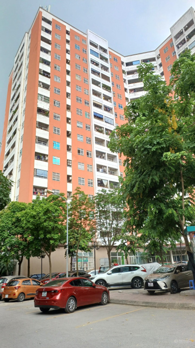 3970823 ảnh đại diện 1