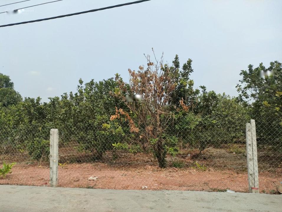 3971146 ảnh đại diện 1