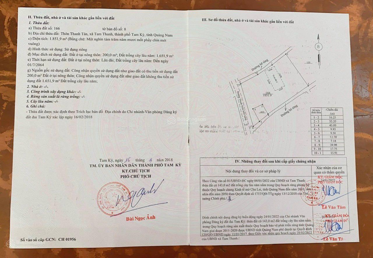 3971468 ảnh đại diện 2