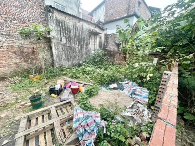3974004 ảnh đại diện 1