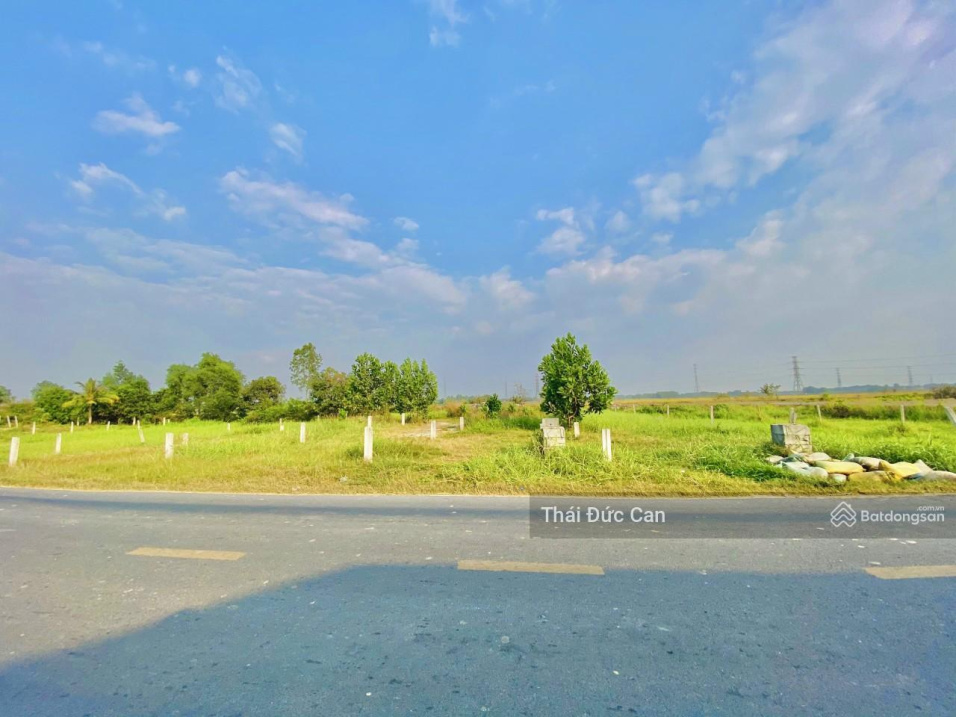 3974210 ảnh đại diện 1